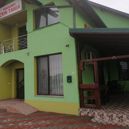 Pensiunea Maria Tania - Restaurant Mioveni Екстериор снимка