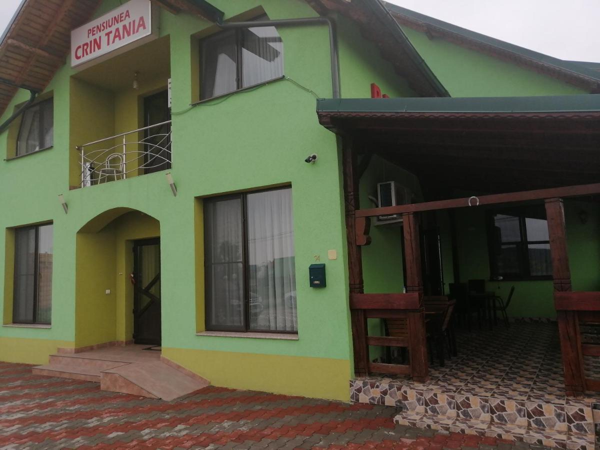 Pensiunea Maria Tania - Restaurant Mioveni Екстериор снимка